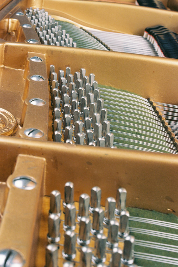 Bechstein Satinwood 16680 tuning pins