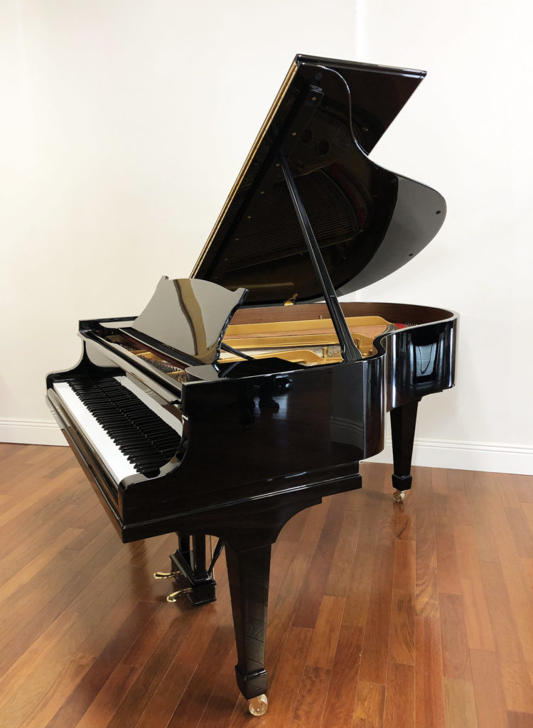 Hamburg Steinway & Sons Grand Piano Model M Ebony