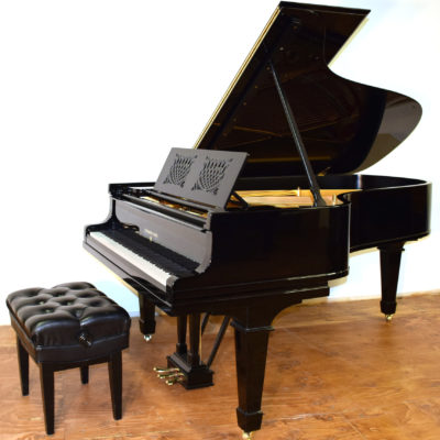 High Gloss Ebony Hamburg Steinway & Sons model B Grand Piano c.1915